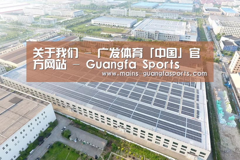 案例展示一