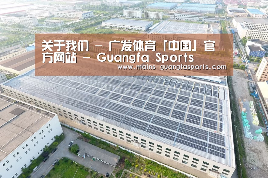案例展示三