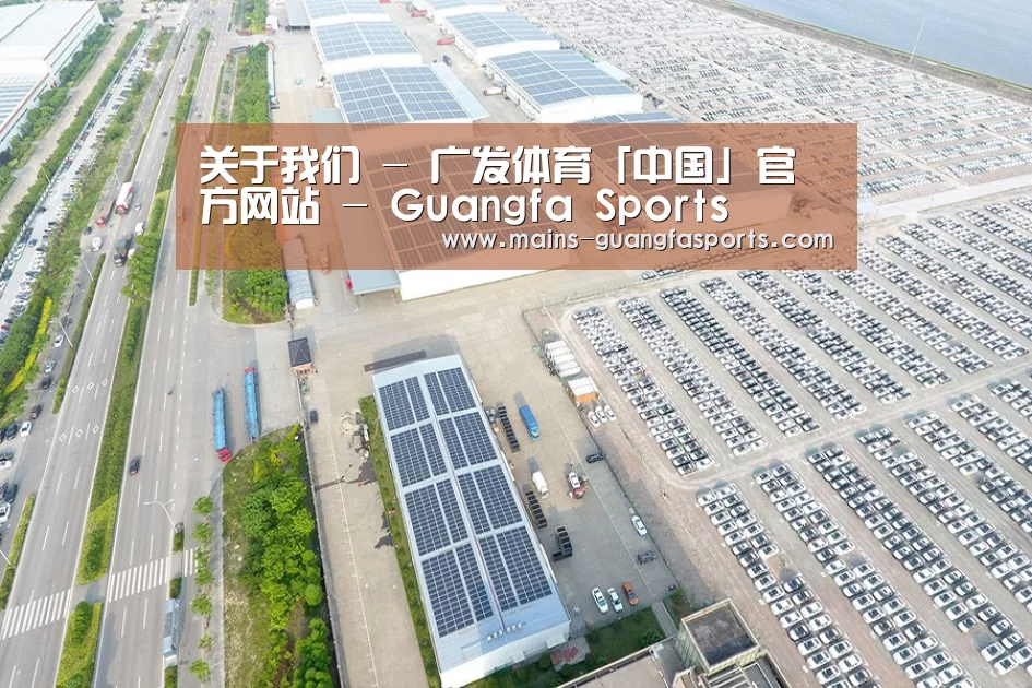 案例展示四