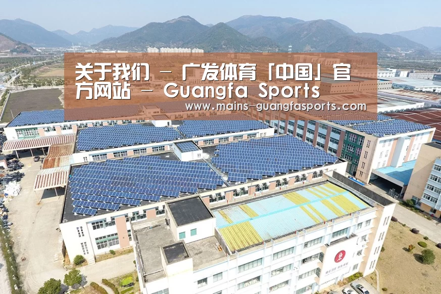 案例展示三