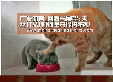 广发体育_回眸与展望:天丝(TM)如何坚
